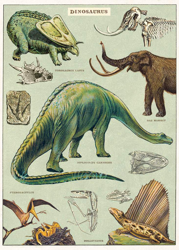 Dino Poster