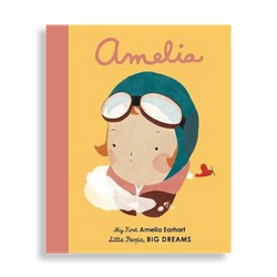 Amelia Earhart. Board Book